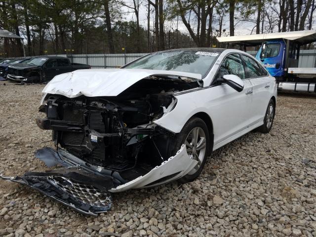 2019 HYUNDAI SONATA LIM 5NPE34AF1KH773296