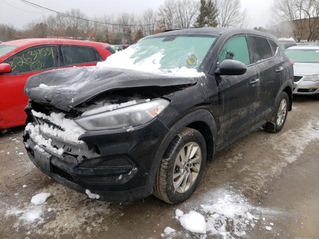 2017 HYUNDAI TUCSON SE KM8J23A49HU381297