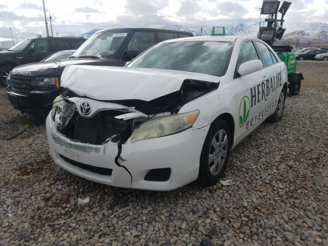 2010 TOYOTA CAMRY L/SE 4T1BF3EK3AU544131