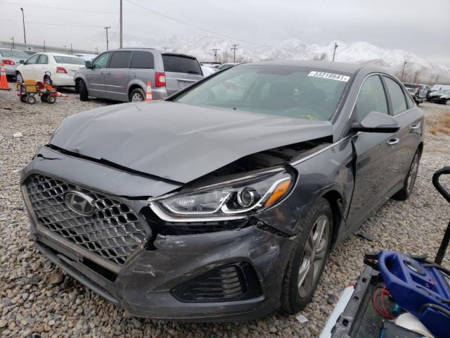 2019 HYUNDAI SONATA LIM 5NPE34AF8KH813096
