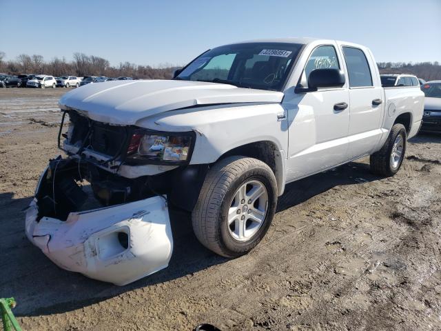 2011 DODGE DAKOTA SLT 1D7RE3GP4BS648838