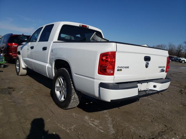 2011 DODGE DAKOTA SLT 1D7RE3GP4BS648838