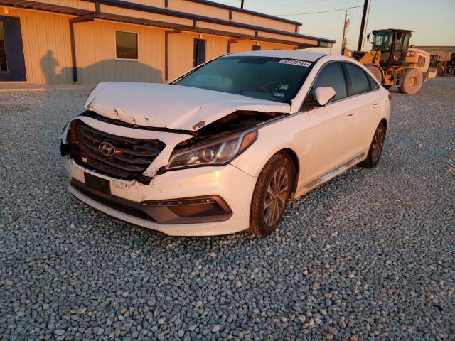 2015 HYUNDAI SONATA SPO 5NPE34AF1FH044687