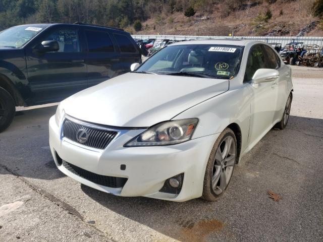 2011 LEXUS IS 250 JTHBF5C23B5132742