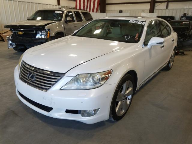2010 LEXUS LS 460 JTHBL5EF7A5098022