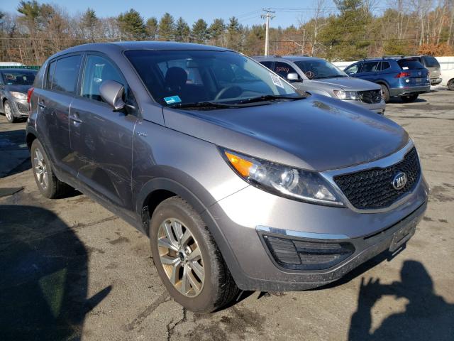 KNDPBCACXG7864459 KIA SPORTAGE Photo 1