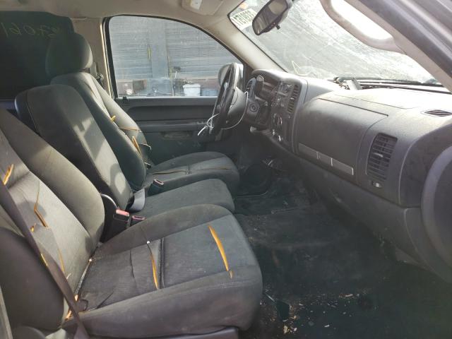 2010 GMC SIERRA C15 - 3GTRCVE09AG300489