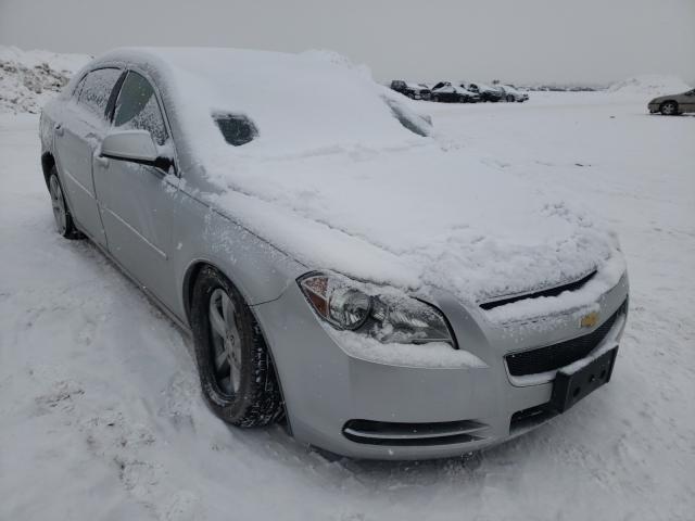 2011 CHEVROLET MALIBU 1LT 1G1ZC5E12BF219516