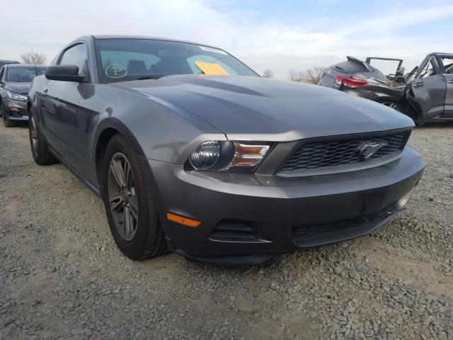 2011 FORD MUSTANG - 1ZVBP8AM6B5125804