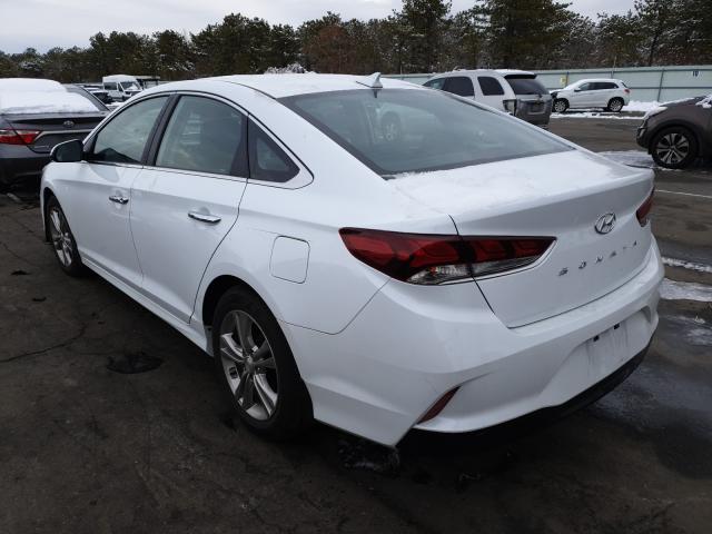 2019 HYUNDAI SONATA LIM 5NPE34AF5KH813606