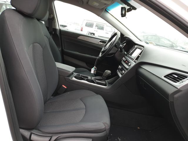 2019 HYUNDAI SONATA LIM 5NPE34AF5KH813606