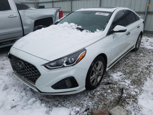2019 HYUNDAI SONATA LIM 5NPE34AF0KH730066