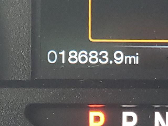 2019 FORD F-150 1FTEX1EB5KKD35893