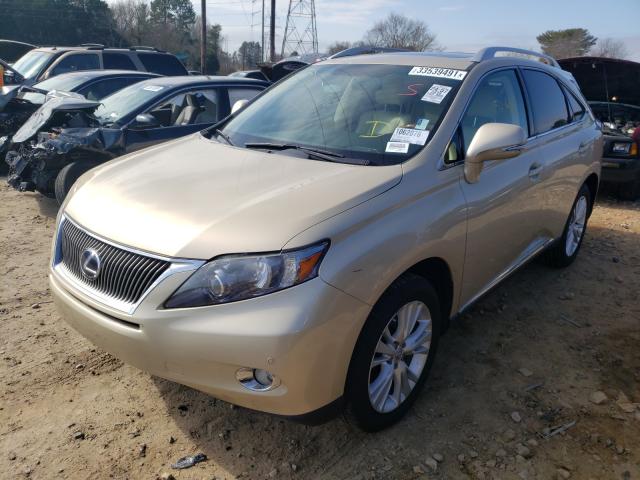 2010 LEXUS RX 450 JTJBC1BA2A2019342