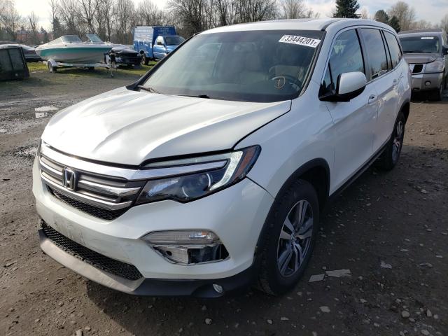 2016 HONDA PILOT EXL - 5FNYF6H55GB013343