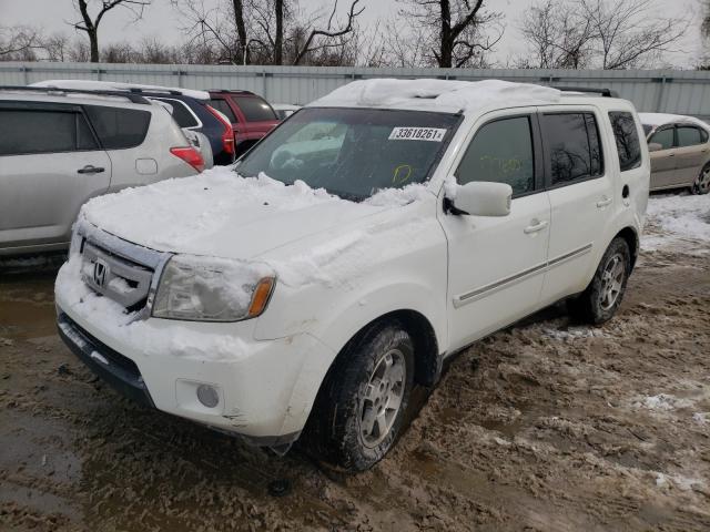 2010 HONDA PILOT TOUR 5FNYF4H84AB006244