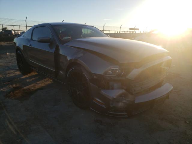 2013 FORD MUSTANG - 1ZVBP8AM8D5233800