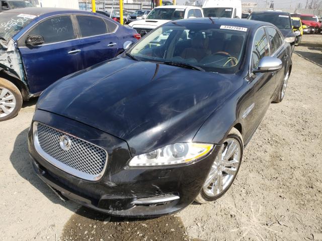 2013 JAGUAR XJL PORTFO SAJWA2GB4DLV46851