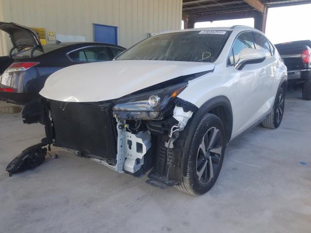 2020 LEXUS NX 300 JTJGARBZ0L5004081