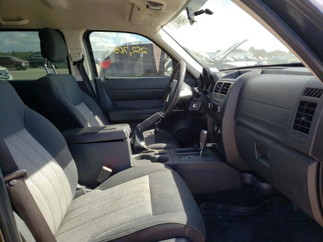 2010 DODGE NITRO SE 1D4PT2GK9AW142907