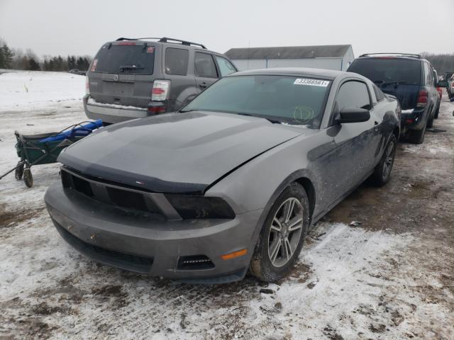 2011 FORD MUSTANG 1ZVBP8AM8B5118434