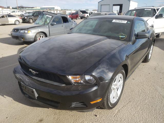 2012 FORD MUSTANG 1ZVBP8AM2C5234990