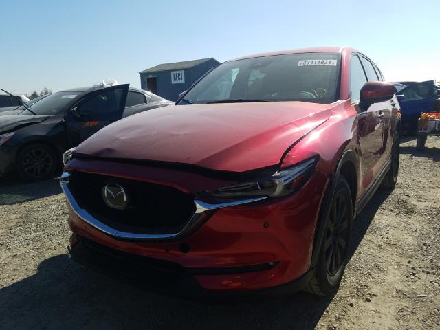 2019 MAZDA CX-5 SIGNA JM3KFBEY9K0693629