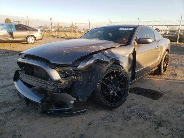 2013 FORD MUSTANG - 1ZVBP8AM8D5233800