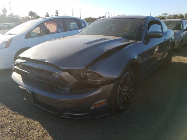 2013 FORD MUSTANG GT - 1ZVBP8CF6D5284663