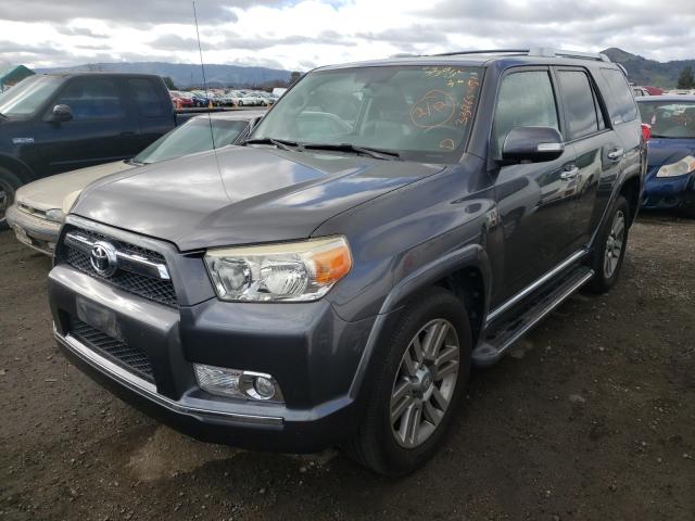 2010 TOYOTA 4RUNNER SR - JTEBU5JR1A5031913