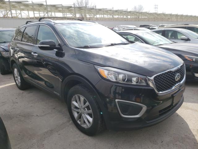 2016 KIA SORENTO LX 5XYPGDA51GG098942