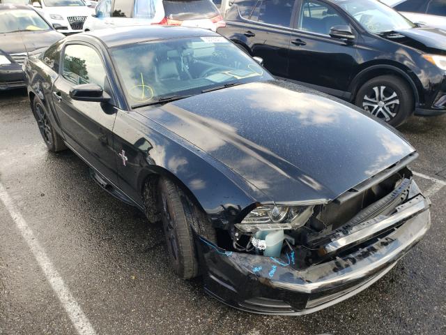 2013 FORD MUSTANG 1ZVBP8AM6D5236274