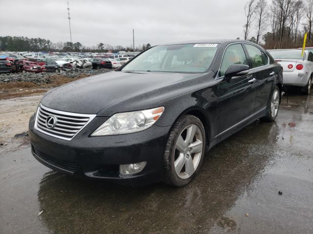 2010 LEXUS LS 460 JTHBL5EF9A5098085