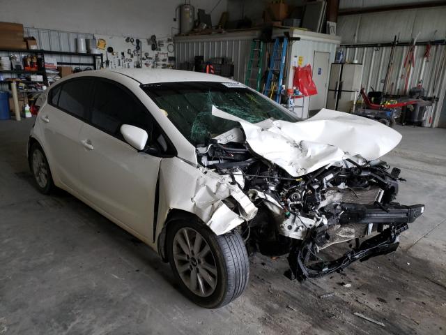 3KPFL4A7XHE029013 KIA FORTE Photo 1