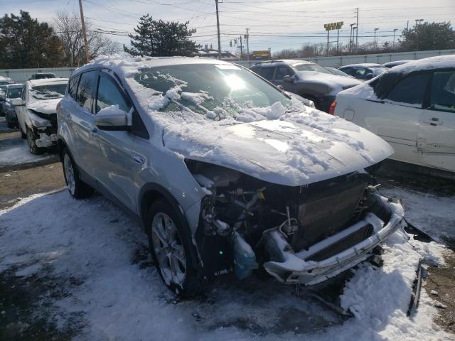 2013 FORD ESCAPE SEL 1FMCU0H99DUC36936