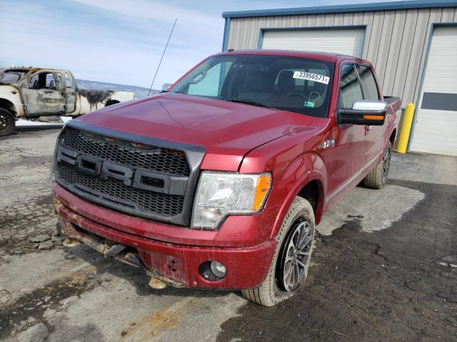 2010 FORD F150 SUPER 1FTFW1EV3AFC02784