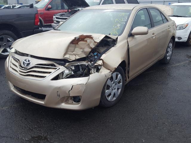 2010 TOYOTA CAMRY BASE - 4T1BF3EK5AU004666