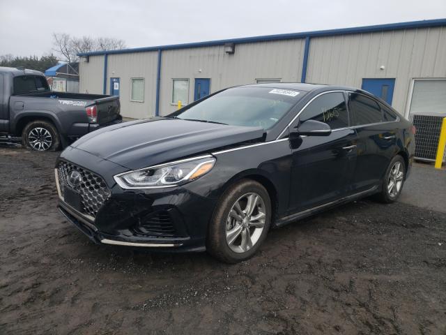 2019 HYUNDAI SONATA LIM 5NPE34AF0KH767845