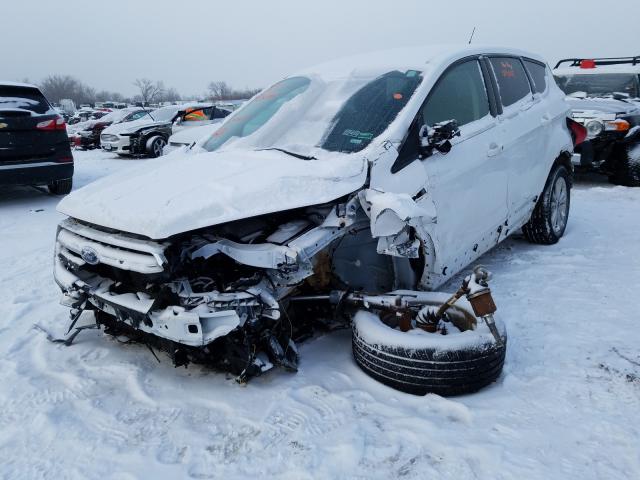 2019 FORD ESCAPE SE 1FMCU9GD6KUA07637