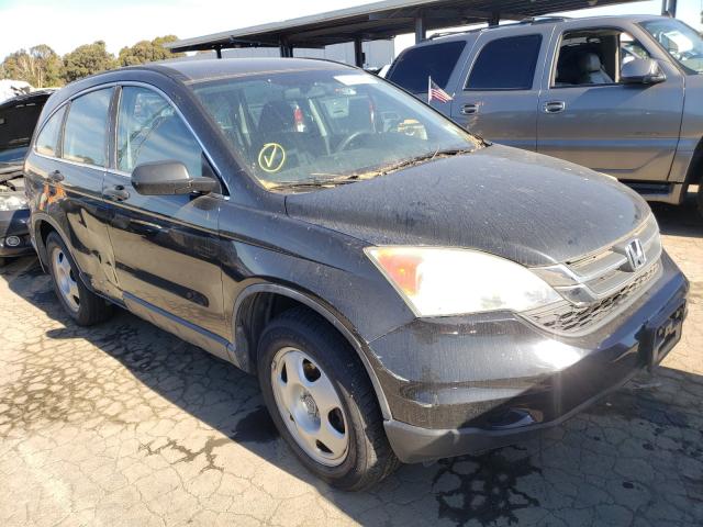 2011 HONDA CR-V LX - 5J6RE4H39BL039616