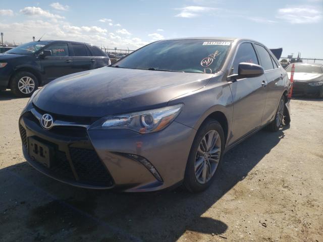 2016 TOYOTA CAMRY LE - 4T1BF1FK5GU608391