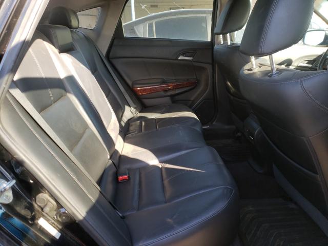 2010 HONDA ACCORD CRO - 5J6TF1H52AL008774
