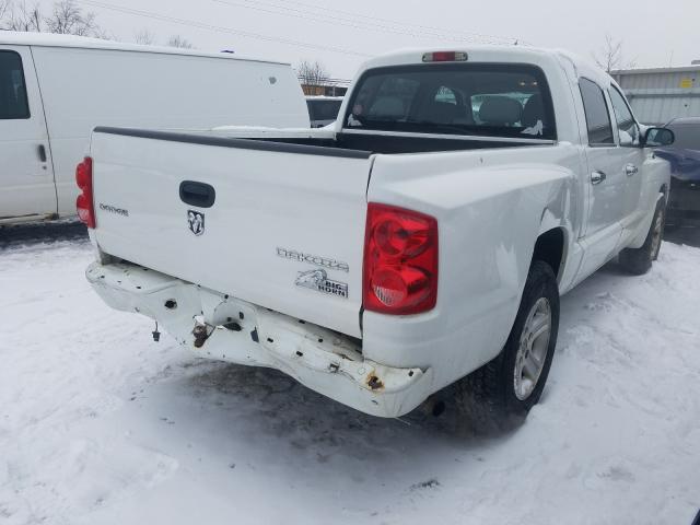 2011 DODGE DAKOTA 1D7RE3GK4BS662159