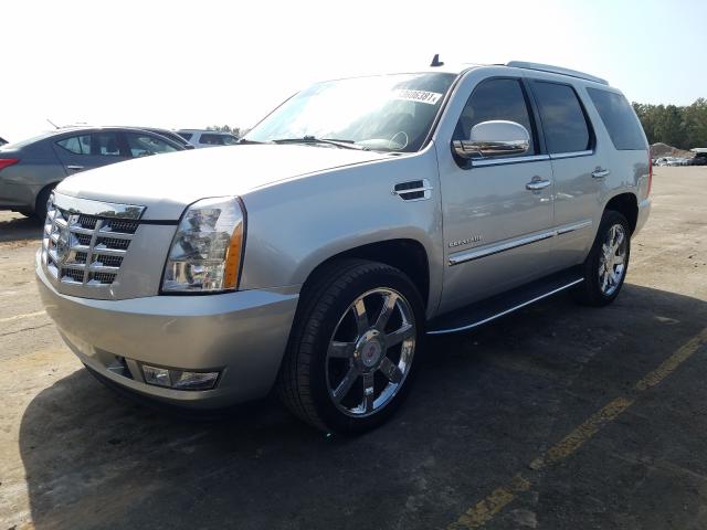 2010 CADILLAC ESCALADE 1GYUKAEF3AR238124