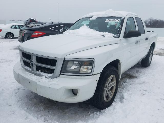 2011 DODGE DAKOTA 1D7RE3GK4BS662159