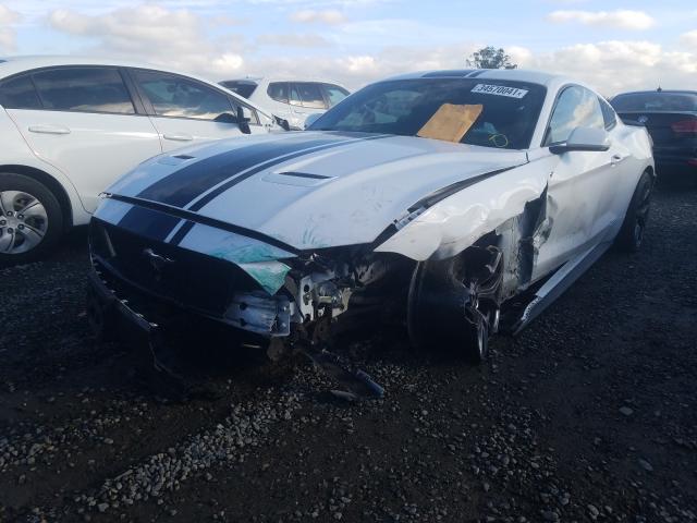 2019 FORD MUSTANG GT - 1FA6P8CF9K5202691