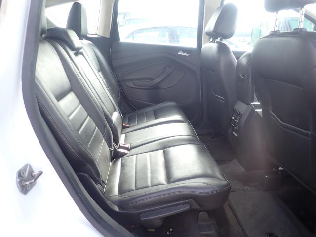 2013 FORD C-MAX SEL 1FADP5BU3DL537269