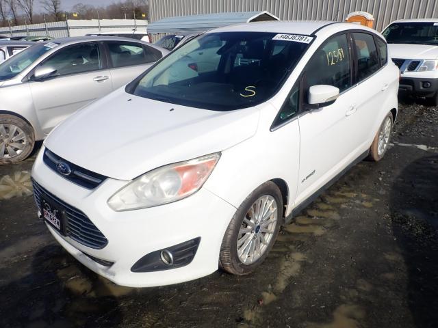 2013 FORD C-MAX SEL 1FADP5BU3DL537269