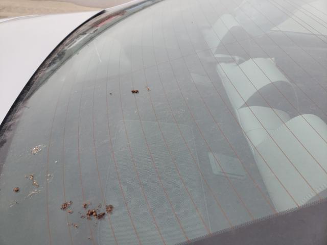 2017 TOYOTA CAMRY 4T1BF1FK7HU323869