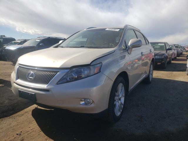 2011 LEXUS RX 450 JTJBC1BA0B2418168